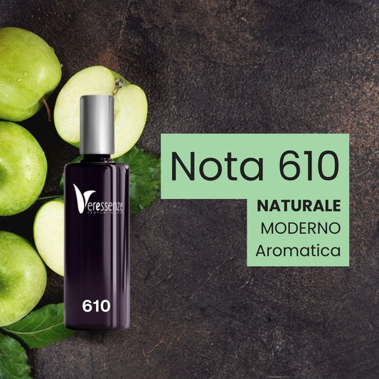 Ispirato a HUGO - 610